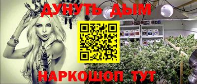 сатива Краснодар