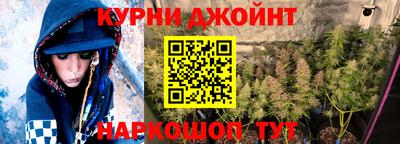 сатива Краснодар