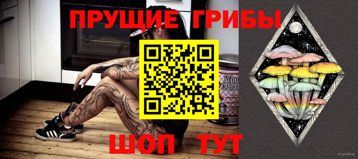 Псилоцибиновые грибы Psilocybe Химки