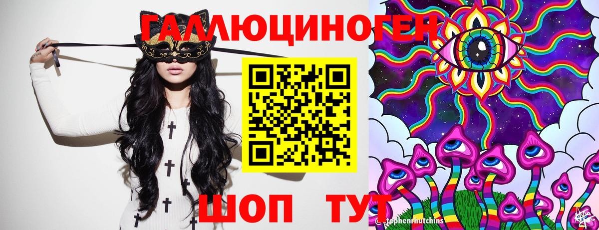 Галлюциногенные грибы GOLDEN TEACHER  магазин продажи наркотиков  Галлюциногенные грибы GOLDEN TEACHER  Химки  Вход с VPN 