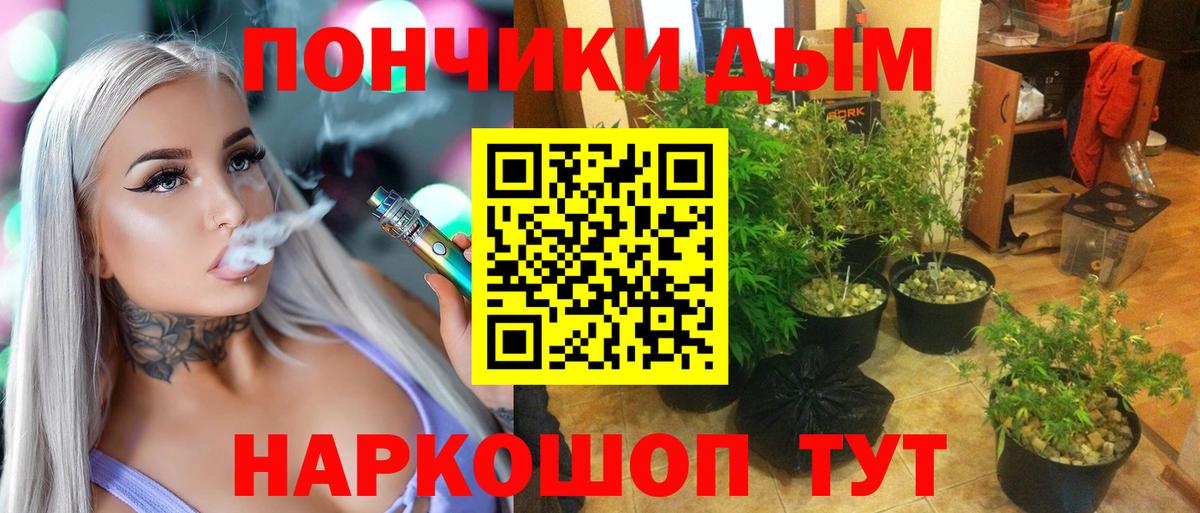 Канабис THC 21%  Конопля планчик  Вход с VPN  Химки  Конопля планчик  Конопля Amnesia 